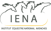 Institut Équestre National d'Avenches