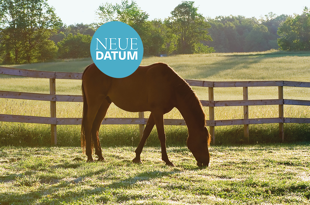 cheval-au-parc-neue-datum
