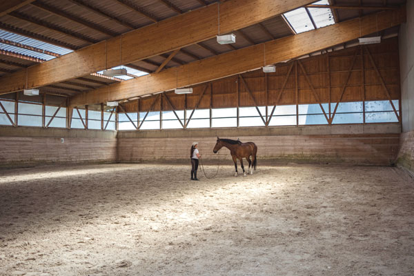 IENA-Infras-contre-manege IENA-Infras-contre-manege