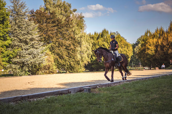 IENA-Infras-dressage