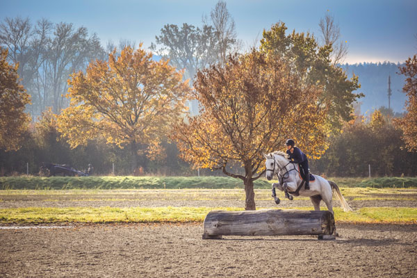 IENA-Infras-military IENA-Infras-military