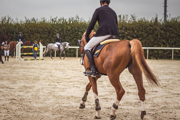 IENA-Infras-petitpaddock