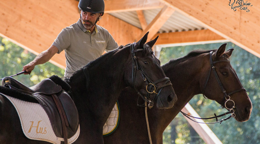 Sébastien-Jaulin---Haras-de-Jus-2 Sébastien-Jaulin---Haras-de-Jus-2