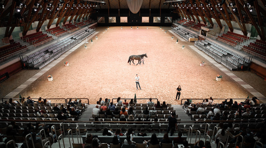 lea-lansade-jaulin lea-lansade-jaulin